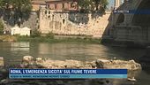 Roma, l'emergenza siccità sul fiume Tevere