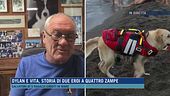 Il messaggio di Massimo Perla e Roberto Alessi: "Chi abbandona gli animali avrà una sfiga incredibile"