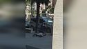Il video del brutale pestaggio a Civitanova Marche
