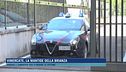 Vimercate, la mantide della Brianza