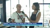 I nuovi "mostri" nei mari italiani