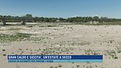Gran caldo e siccità, un'estate a secco