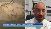 West Nile, Bassetti: "Inutile fare terrorismo"