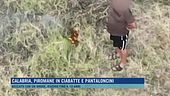 Calabria, piromane incastrato dal drone