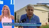 Un allevatore di polli: "Ho l'impianto fotovoltaico, ma mi chiedono 39mila euro di bolletta"