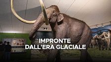 Impronte dall'era glaciale