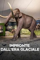 Impronte dall'era glaciale