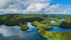 Serpente gigante/vasi rupestri/aereo abbattuto/alberi con le gambe