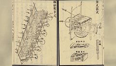 Antichi sacrifici/misteri esplosivi/cava di rapa nui/animali luminosi