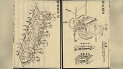 Antichi sacrifici/misteri esplosivi/cava di rapa nui/animali luminosi