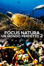 Ep. 1 - I giganti della Baja California