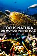 Ep. 5 - Oasi artificiali