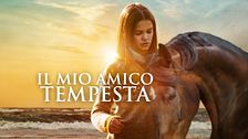 Il mio amico tempesta