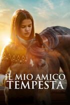 Il mio amico tempesta