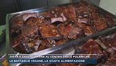 Consumo di carne e ricadute sull'ambiente: le battaglie veg, la giusta alimentazione