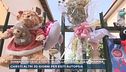 Diana morta di stenti, no alla perizia sulla mamma