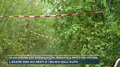 Silvia Cipriani, indagato il nipote per omicidio