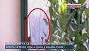 Omicidio Mattia, la fidanzata ai domiciliari sposta le tende con la mano e guarda fuori