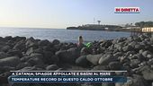 A Catania, spiagge affollate e bagni al mare
