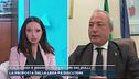 Baby gang, Governo: "Via sussidi e reddito ai genitori dei bulli"