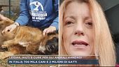 Iniziativa della Leidaa contro il randagismo