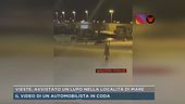 Vieste, avvistato un lupo nella località di mare