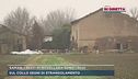 Saman, i resti di Novellara sono suoi
