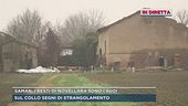 Saman, i resti di Novellara sono suoi