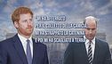 Royals, la rivelazione di Harry nell'autobiografia