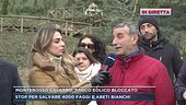 Monterosso Calabro, parco eolico bloccato