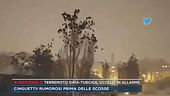 Terremoto Siria-Turchia, uccelli in allarme