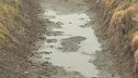 Manca l'acqua, risaie in crisi