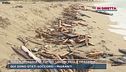 Dalla spiaggia di Cutro i segni della tragedia