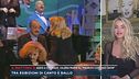 Valeria Marini al "Maurizio Costanzo Show"