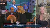 Valeria Marini al "Maurizio Costanzo Show"
