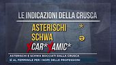 Asterischi e schwa bocciati dalla Crusca
