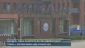 Covid, il virus scappato da un laboratorio?