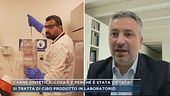 Carne sintetica, cosa è e perchè è stata vietata?