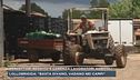 Percettori reddito e carenza lavoratori agricoli