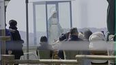 Madonna di Trevignano, l'apparizione minuto per minuto