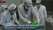 Escrementi e blatte nelle cucine ospedaliere