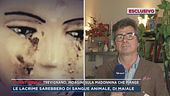 Trevignano, indagini sulla Madonnina che piange