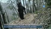Andrea, il runner di 26 anni trovato senza vita