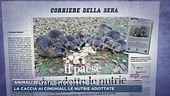 Animali selvatici,invasione delle città