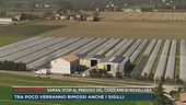 Saman, stop al presidio del casolare di Novellara
