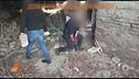 La tomba nel casolare di Novellara