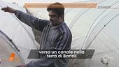 Lo zio Danish: "Saman uccisa dalla madre"