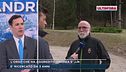 Trentino, l'orso che ha aggredito Andrea è JJ4