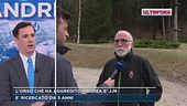 Trentino, l'orso che ha aggredito Andrea è JJ4