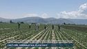 Campania, record di reddito e richiesta di lavoratori